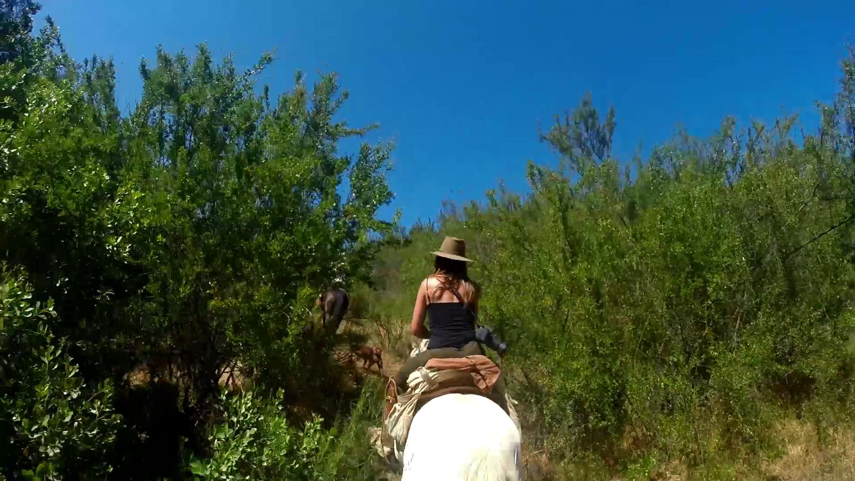 Campesano Horseback Trail